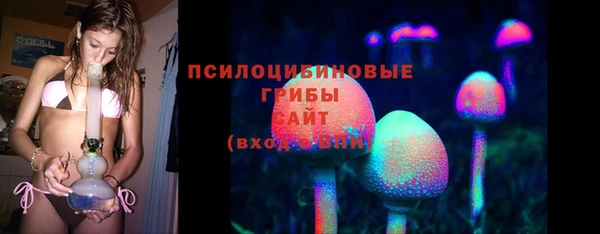 стаф Абдулино