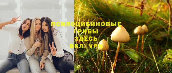 синтетический гашиш Абинск