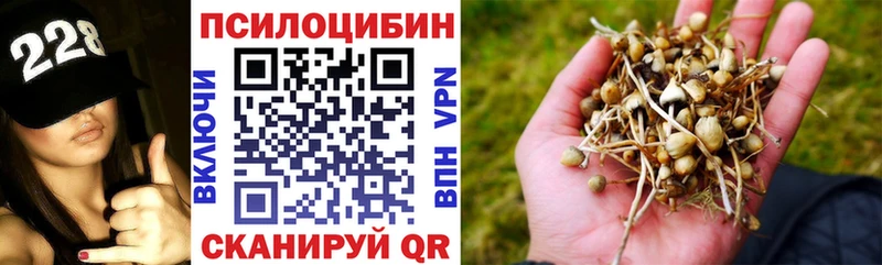 купить наркотик  ОМГ ОМГ зеркало  Галлюциногенные грибы Cubensis  Электроугли 